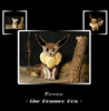 Nia Wolf: PokéReal #133 Eevee, the Fennec Fox